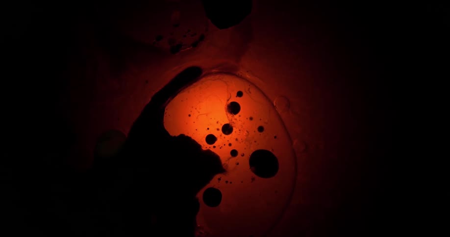 A culture of black spots in orange liquid