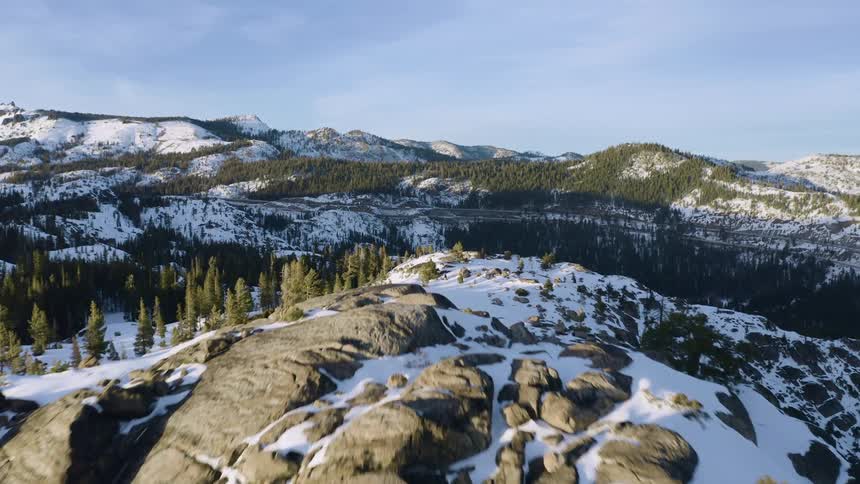An aerial view of trees and snow on a mountain