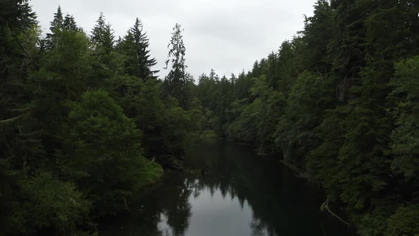 River reflects conifer trees as it winds through forest under overcast sky