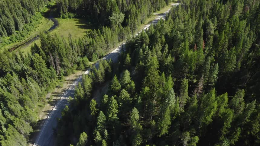 Flying over a road that is in a forest area