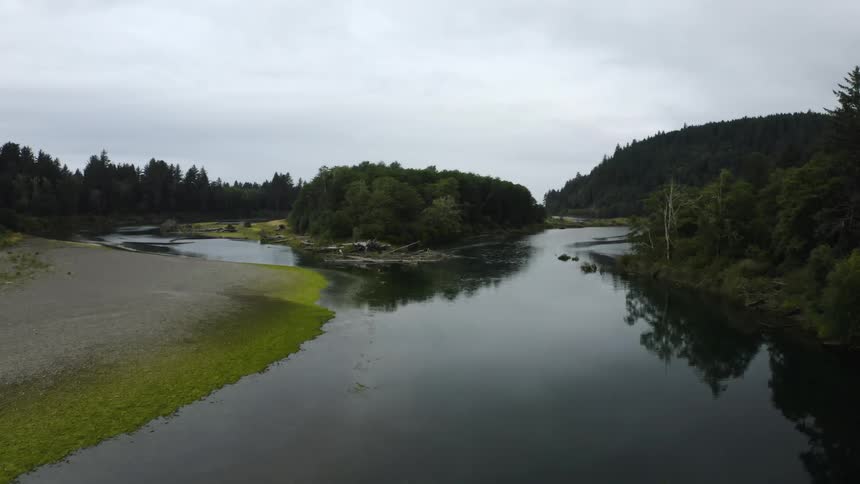 Aerial view of a river near trees are displayed