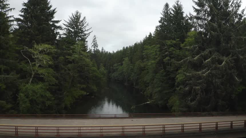 A vehicle passes over a narrow bridge that spans a river that cuts through a dense forest