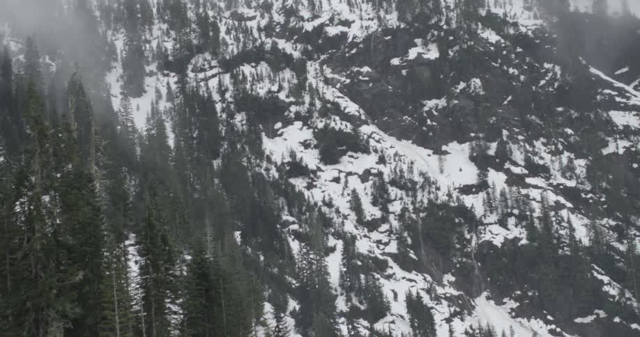 A mountain is covered with snow clouds and trees