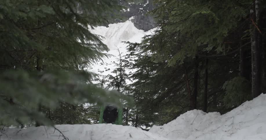 A person walks through a snowy forest