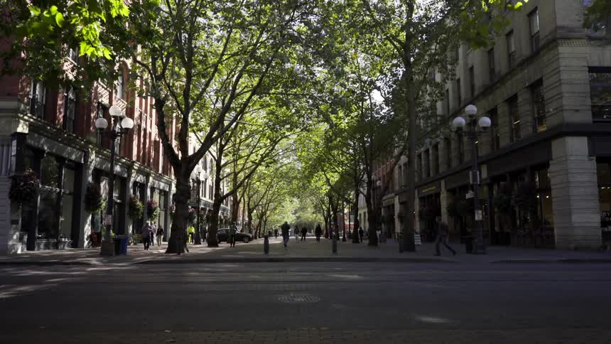 A tree lined promenade between buildings on a sunny day