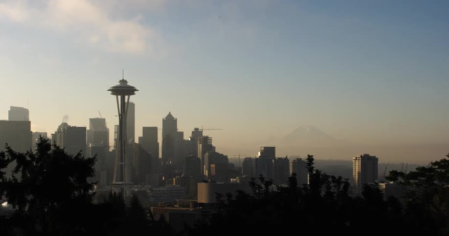 City buildings stand in the distance