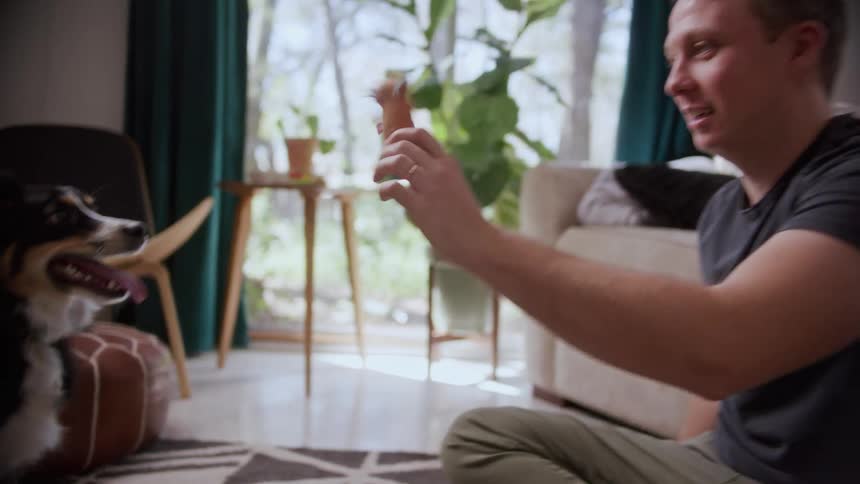 A man smiles as he throws a toy for his dog during a game of indoor fetch in the living room