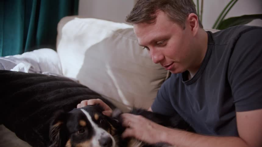 A dog relaxes on a couch with its owner who feeds it a treat while petting it