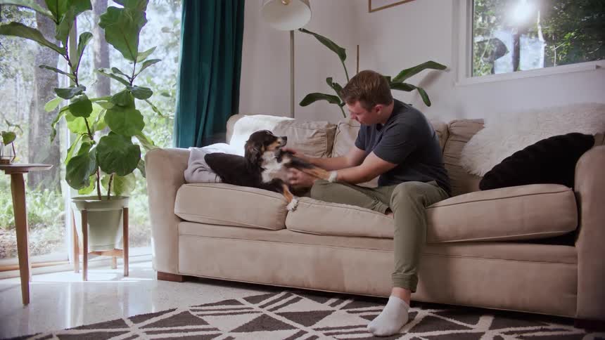 A man rubs his dogs belly as they sit on a couch in their living room