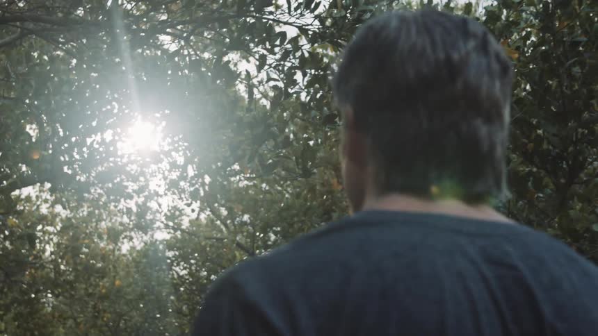 A man casually walks outdoors beneath a number of tree branches on a sunny day