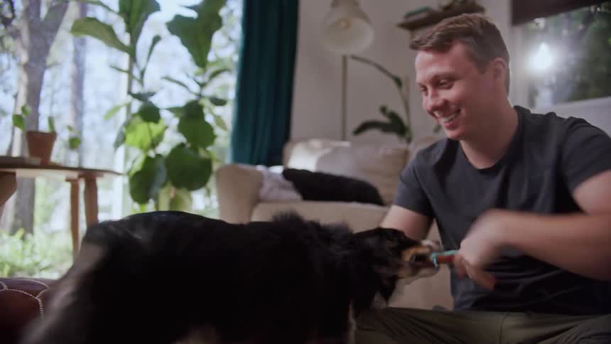 A man playing with a dog and petting it as well in a house