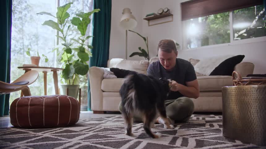 A man plays with his dog inside his home