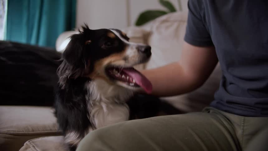 A man sits on a couch at home with his dog and pets him