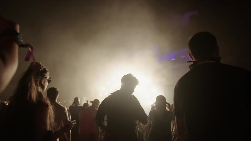 A group of people are watching a show at night