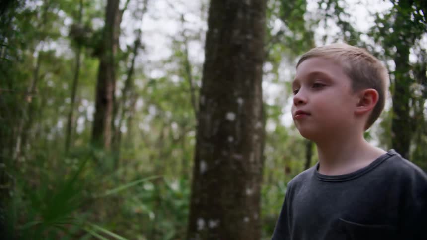 A boy walks alone through a walks through a woodland during the day
