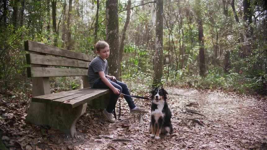 A young boy sits on a wooden bench with his dog next to a hiking trail