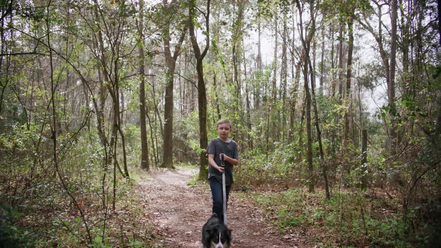 A boy walks a dog along a dirt trail through a woodland during the day