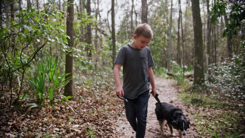 A boy walks a dog along a dirt trail through a woodland during the day