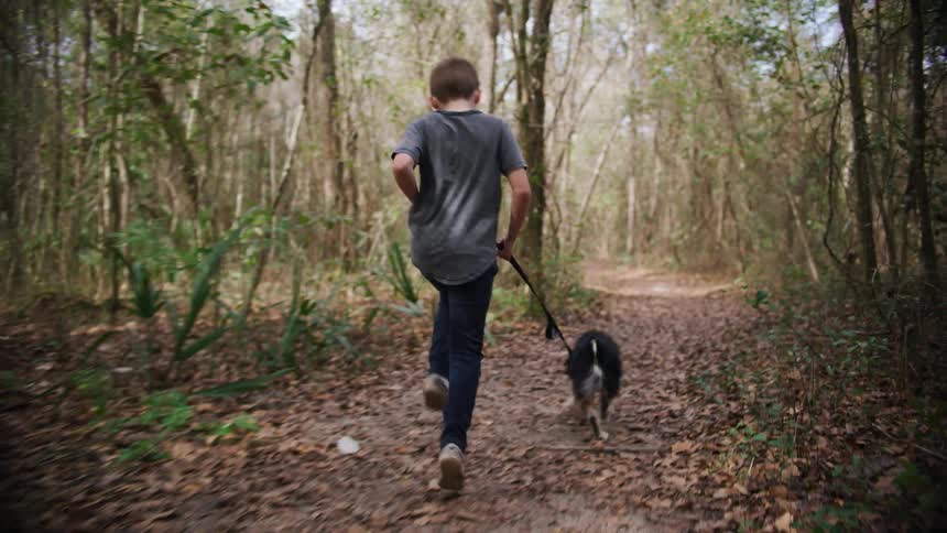 A young boy walks his dog in a forest area