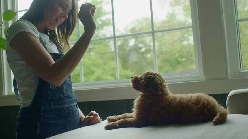 A woman holds a dog treat in her hand which draws the attention of her pet dog