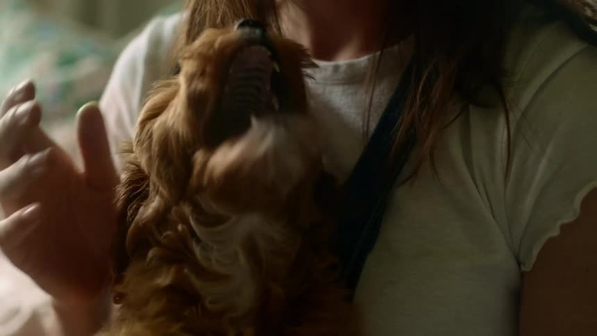 A woman smiling while petting a fluffy dog in bed