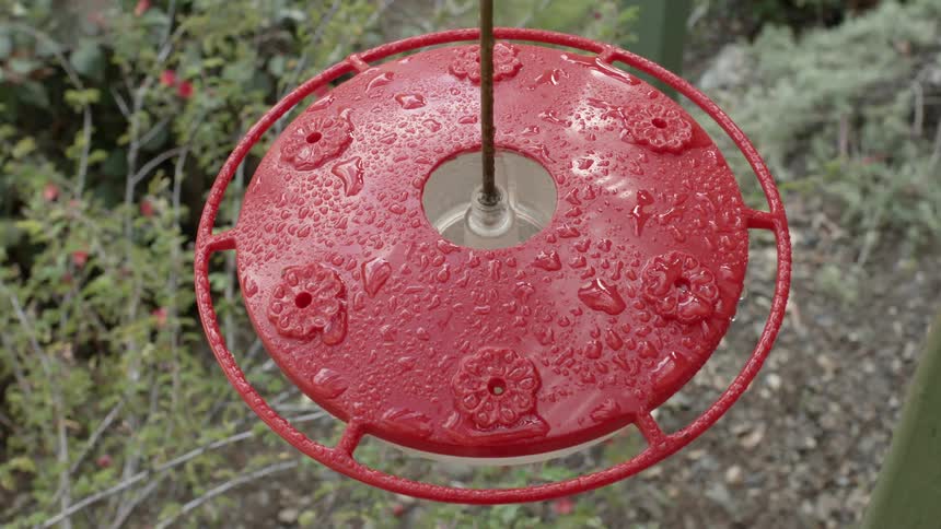 Birds are flying and landing on a bird feeder
