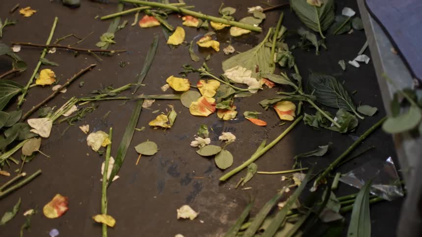 Flower petals and leaves litter the ground