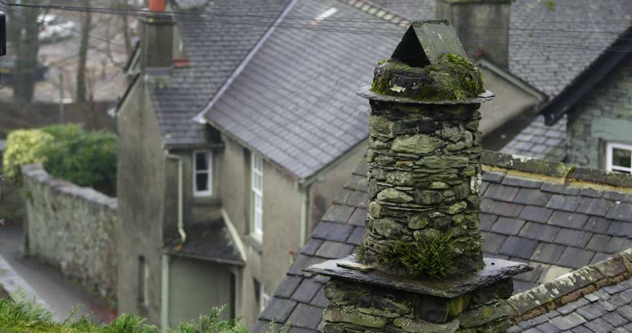 Mossy stone chimney near a building with a vine covered wall