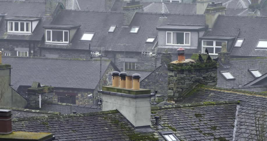 Rooftops with chimneys and antennas with birds and houses in the background