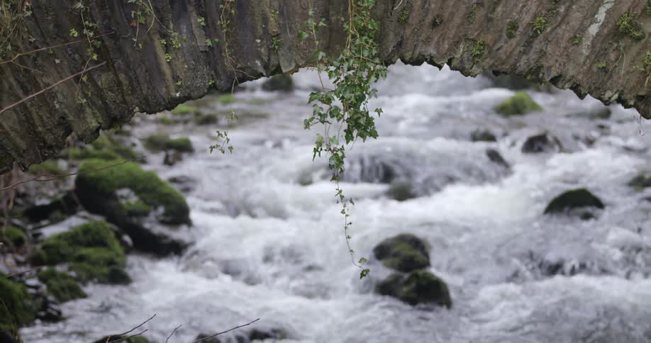 A river flowing over mossy rocks in nature