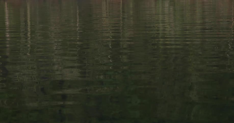 A view of gentle ripples on a lake