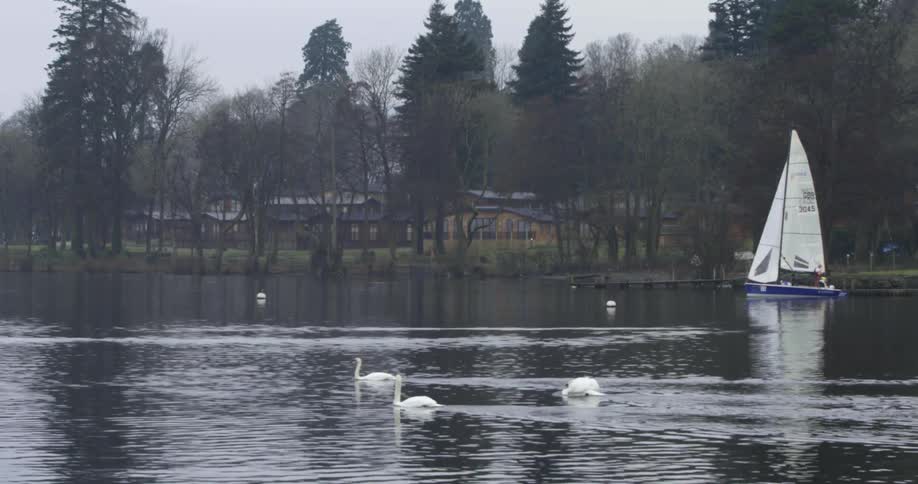 A wide shot of a park lakefront