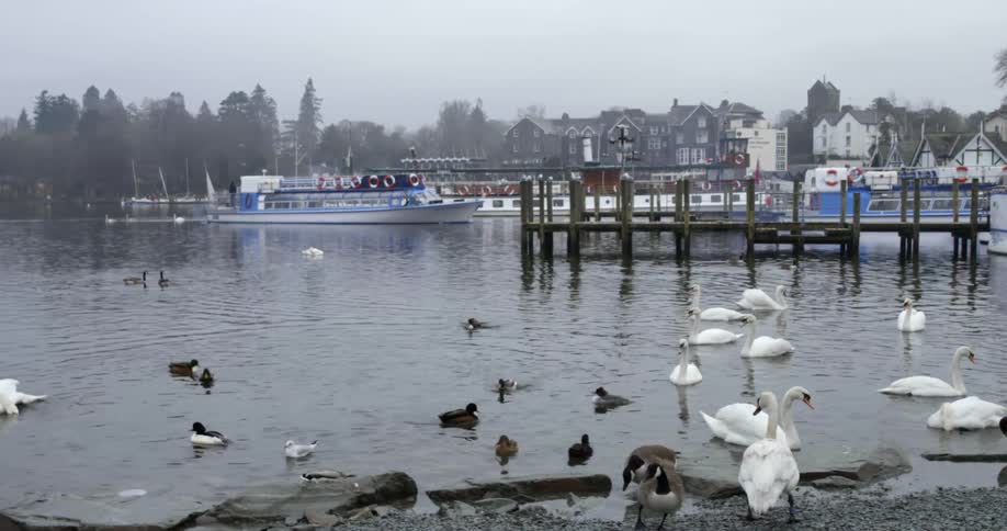 A ferry boat slowly pulls away from its dock as numerous birds swim around in the foreground
