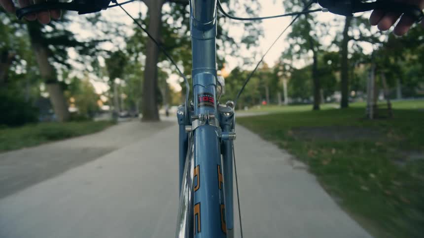 A cyclist rides a bike path pedestrians on a path through a public park during the day