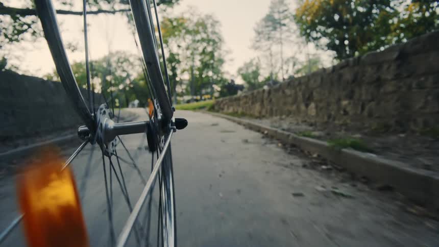 POV: A bicycle traveling through a tunnel in a park