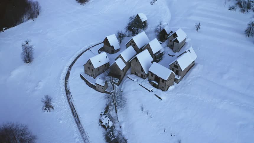 Houses in a snow covered neighborhood
