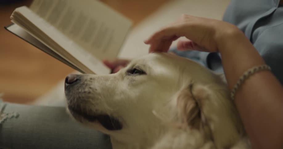 Woman lying down on floor rug reads while petting dog