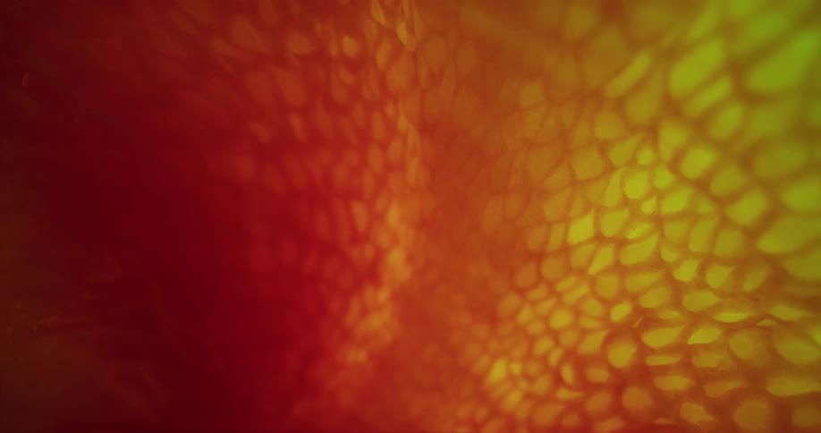 Small pieces of various shapes in orange and yellow