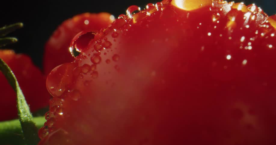 Droplets of water on tomatoes set up in a studio