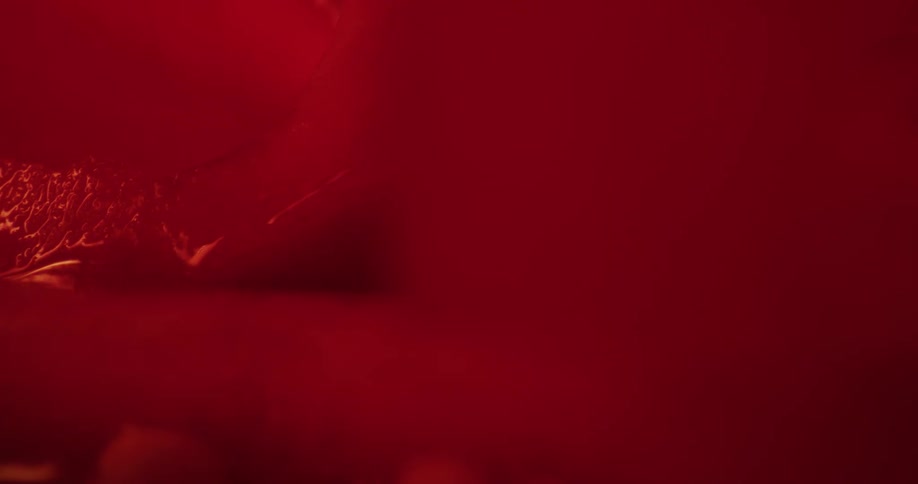 Red white and black colors that look like tomato and water dripping