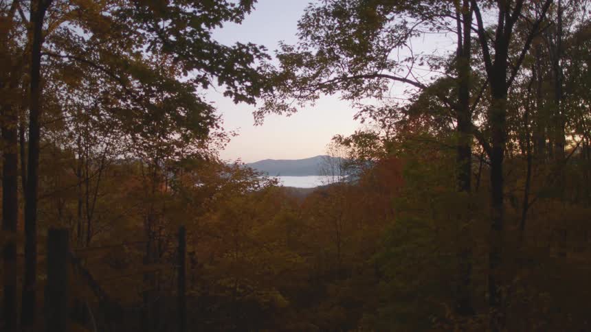 A view of trees with their leaves changing colors next to a lake
