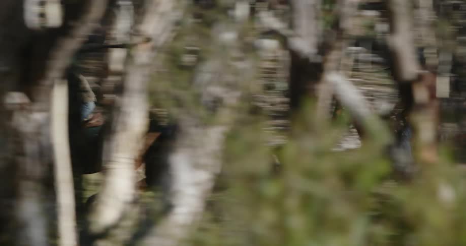 Cowboys riding on horses through trees in the woods