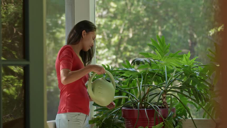 A woman waters a plant outside on a patio