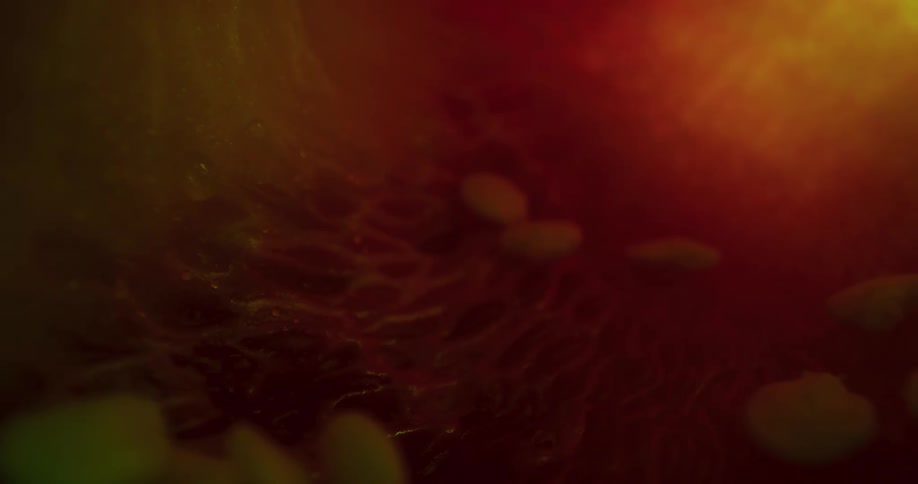 Abstract footage of lights and shadows