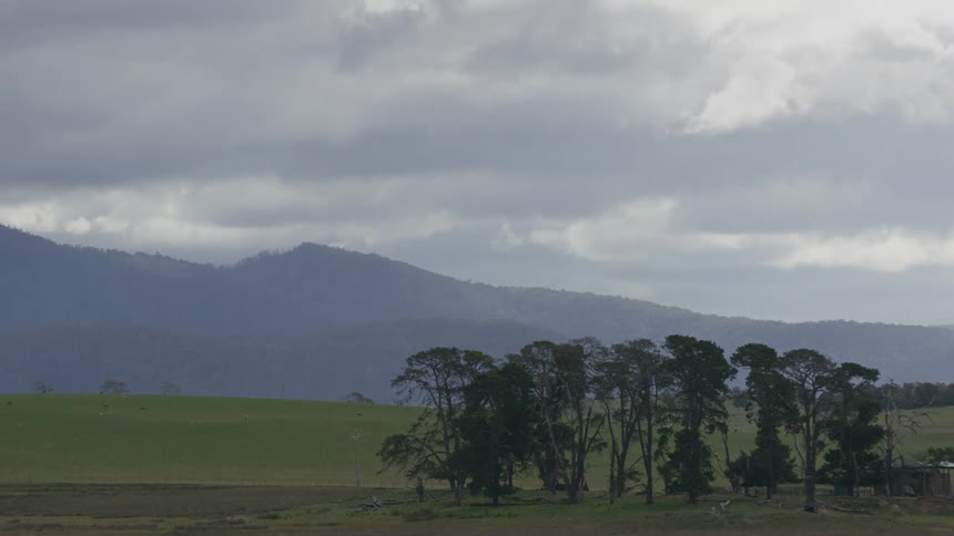 Trees in a field with mountains in the distance and clouds moving over very fast