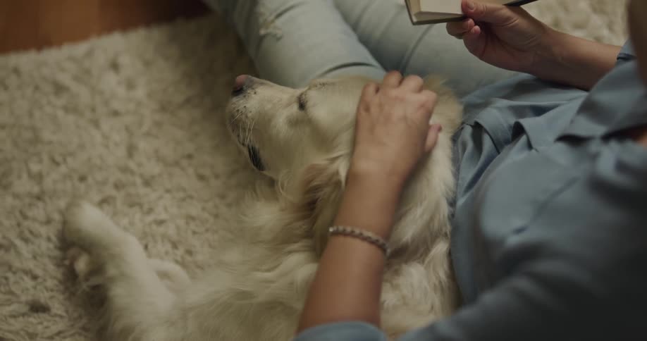 Woman sitting on rug reading pets dog lying down next to her