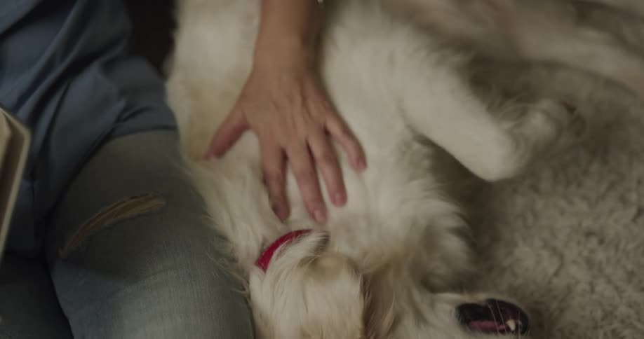 A woman sits at home and holds a book as she pets her dog