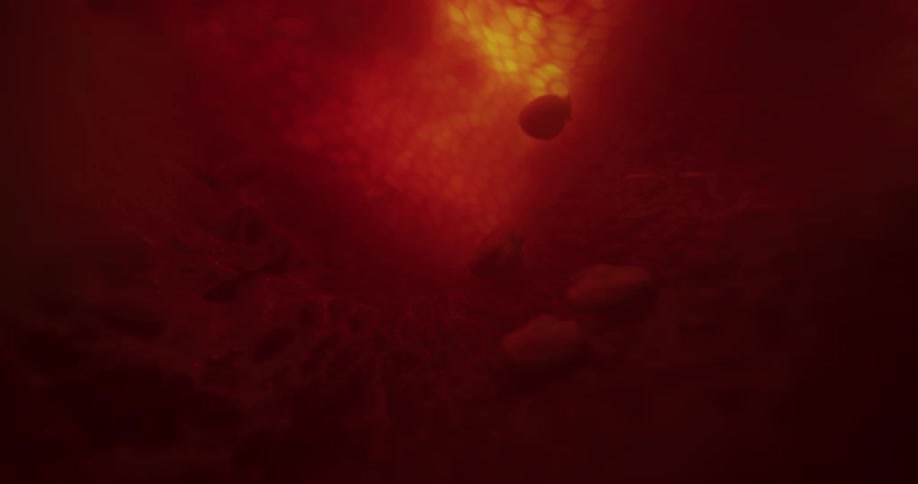 Blood floating in a vein or artery