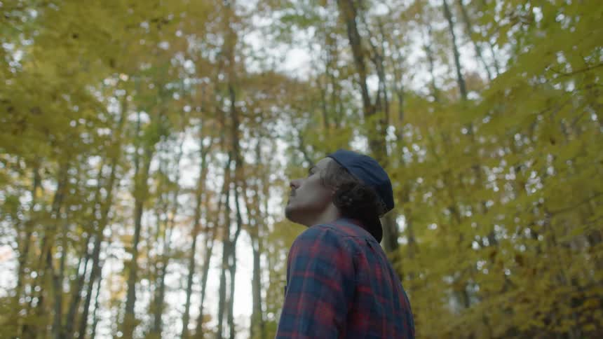A man standing in a forest looking up at trees
