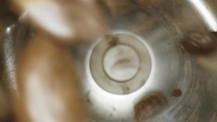 Coffee beans being blended in a blender